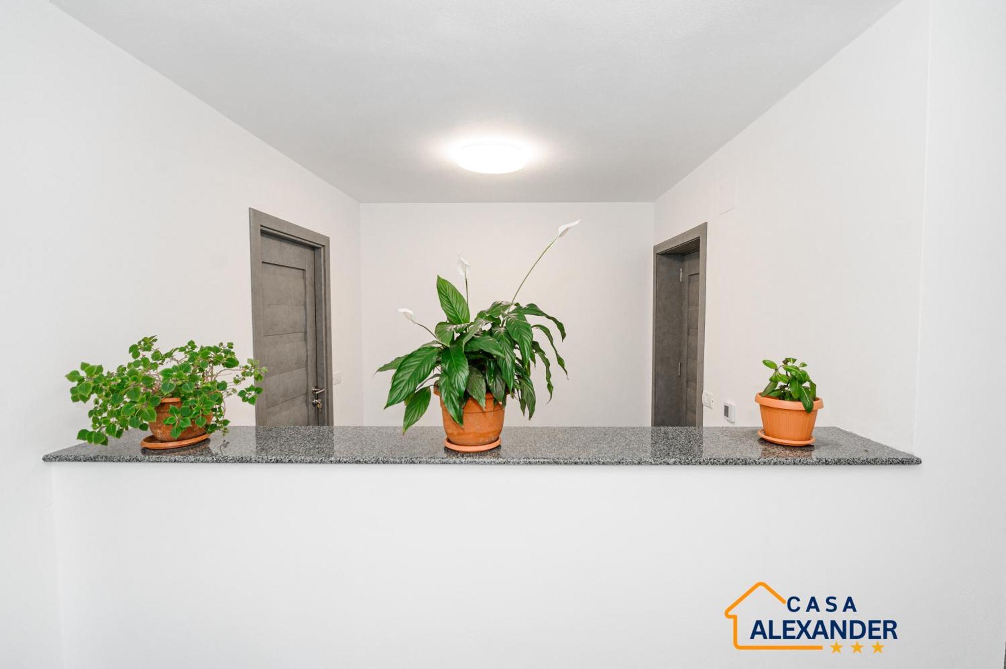 Hotel Casa Alexander Călimăneşti Esterno foto